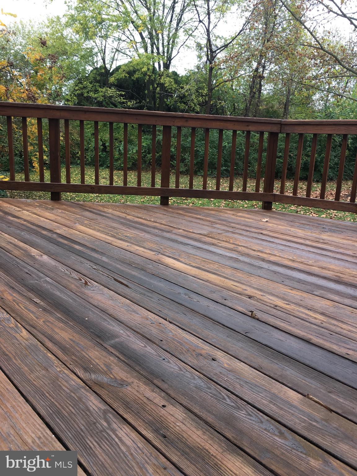 6100 Asher Court Centreville, VA 20121 - Photo 8 of 13