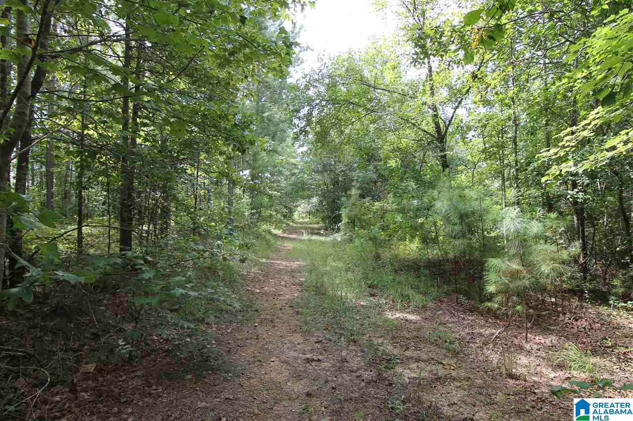 636 County Road, Unit 92 Roanoke, AL 36274 - Photo 8 of 11