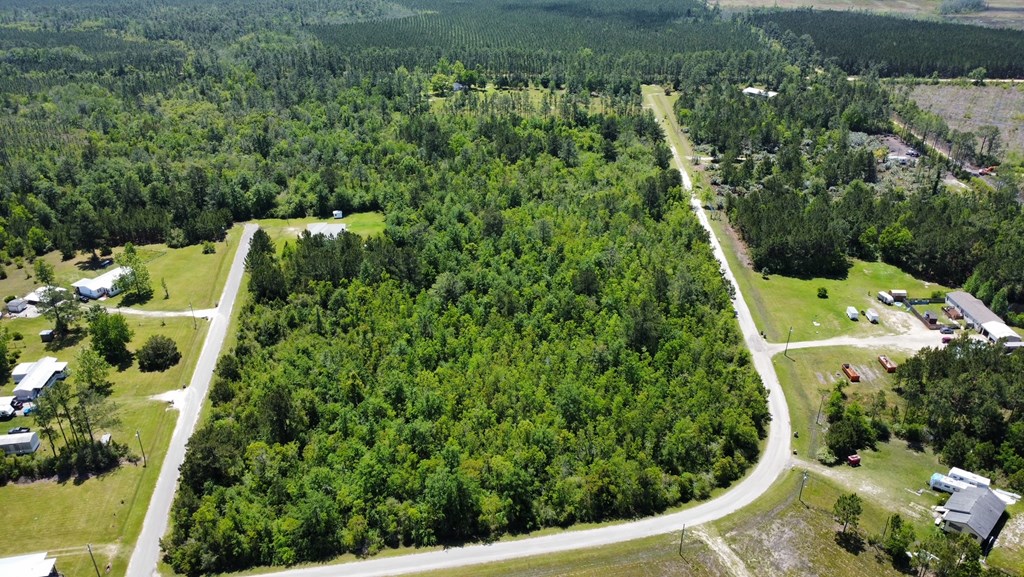 Tbd Reynolds Road Wewahitchka, FL 32465 - Photo 4 of 10