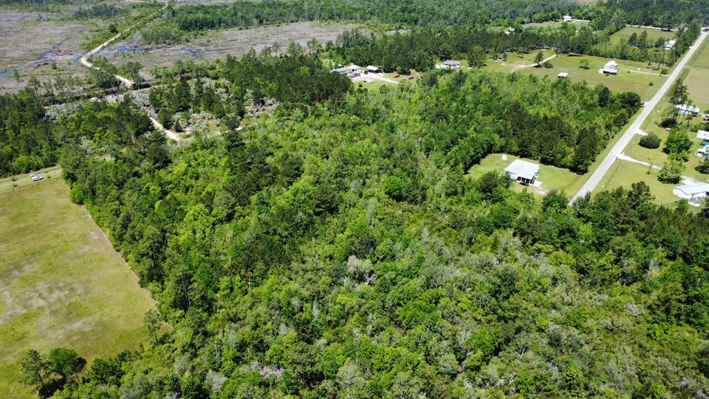 Tbd Reynolds Road Wewahitchka, FL 32465 - Photo 8 of 10