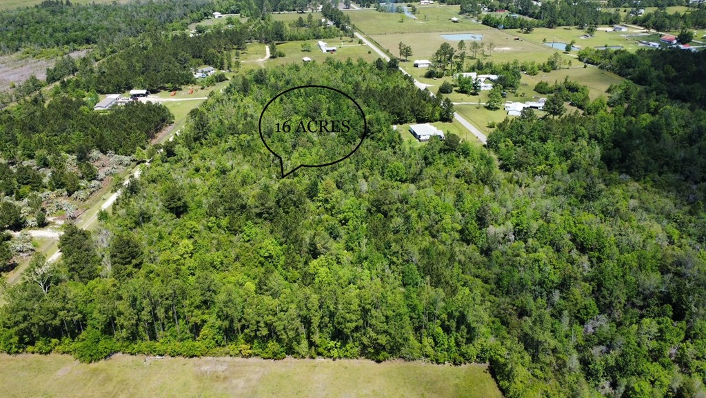 Tbd Reynolds Road Wewahitchka, FL 32465 - Photo 10 of 10