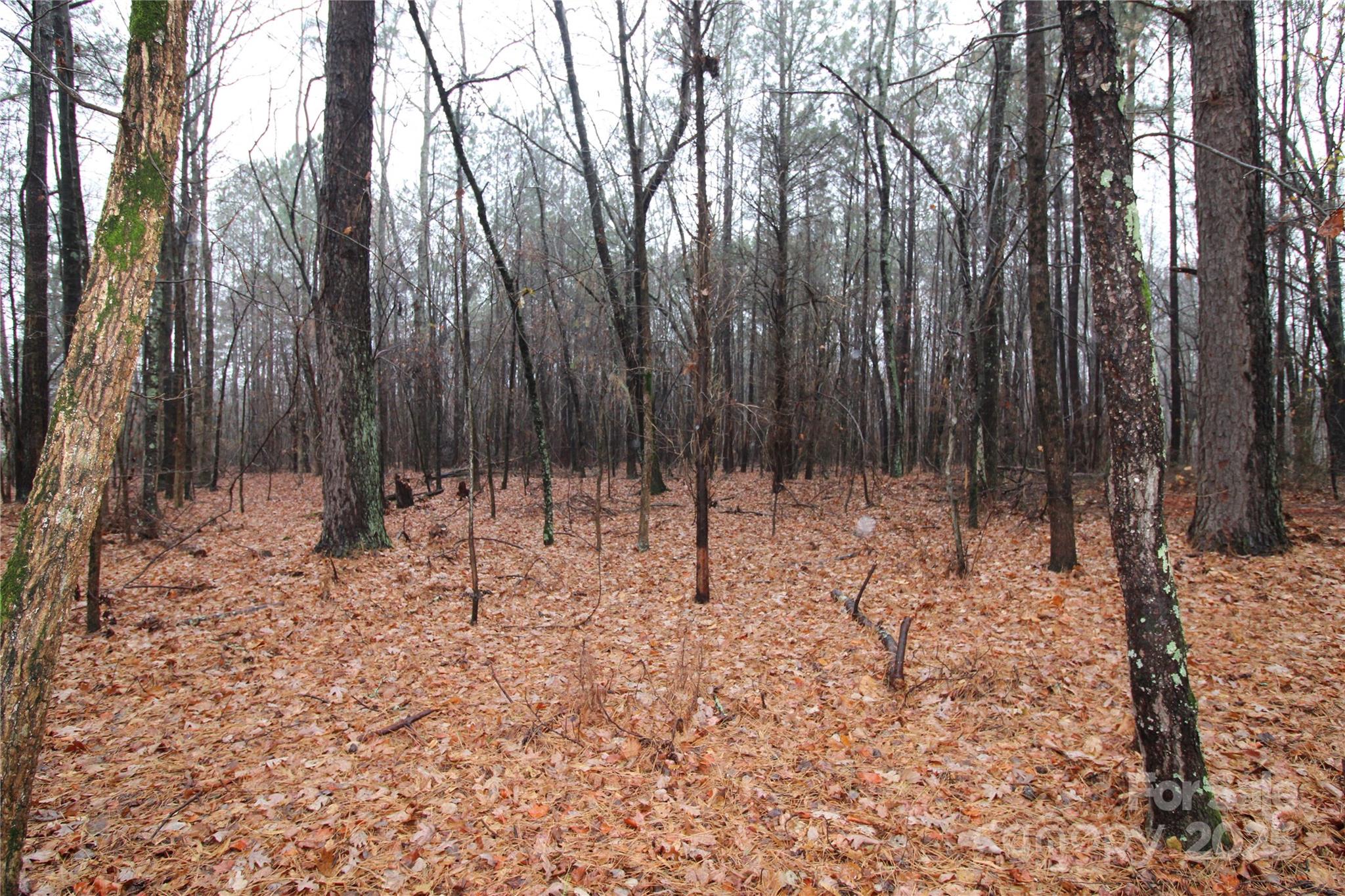 4.78-ac Neal Road, Unit LOT 5 Bessemer City, NC 28016 - Photo 4 of 6