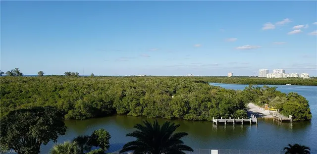 a view of a lake with a city