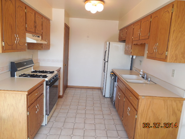 774 Lake Road New Lenox, IL 60451 - Photo 6 of 14 a kitchen with a sink stove and cabinets