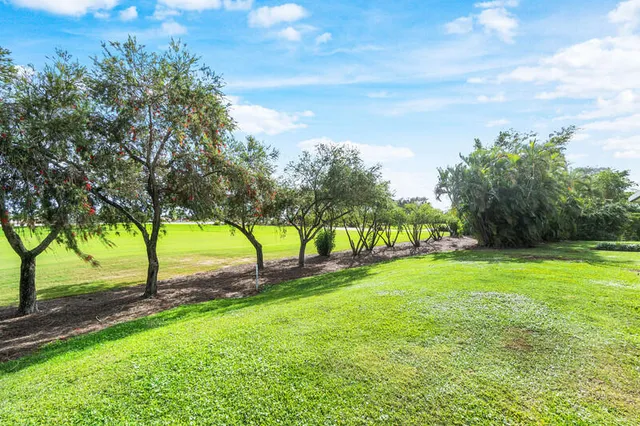 a view of a park with a tree