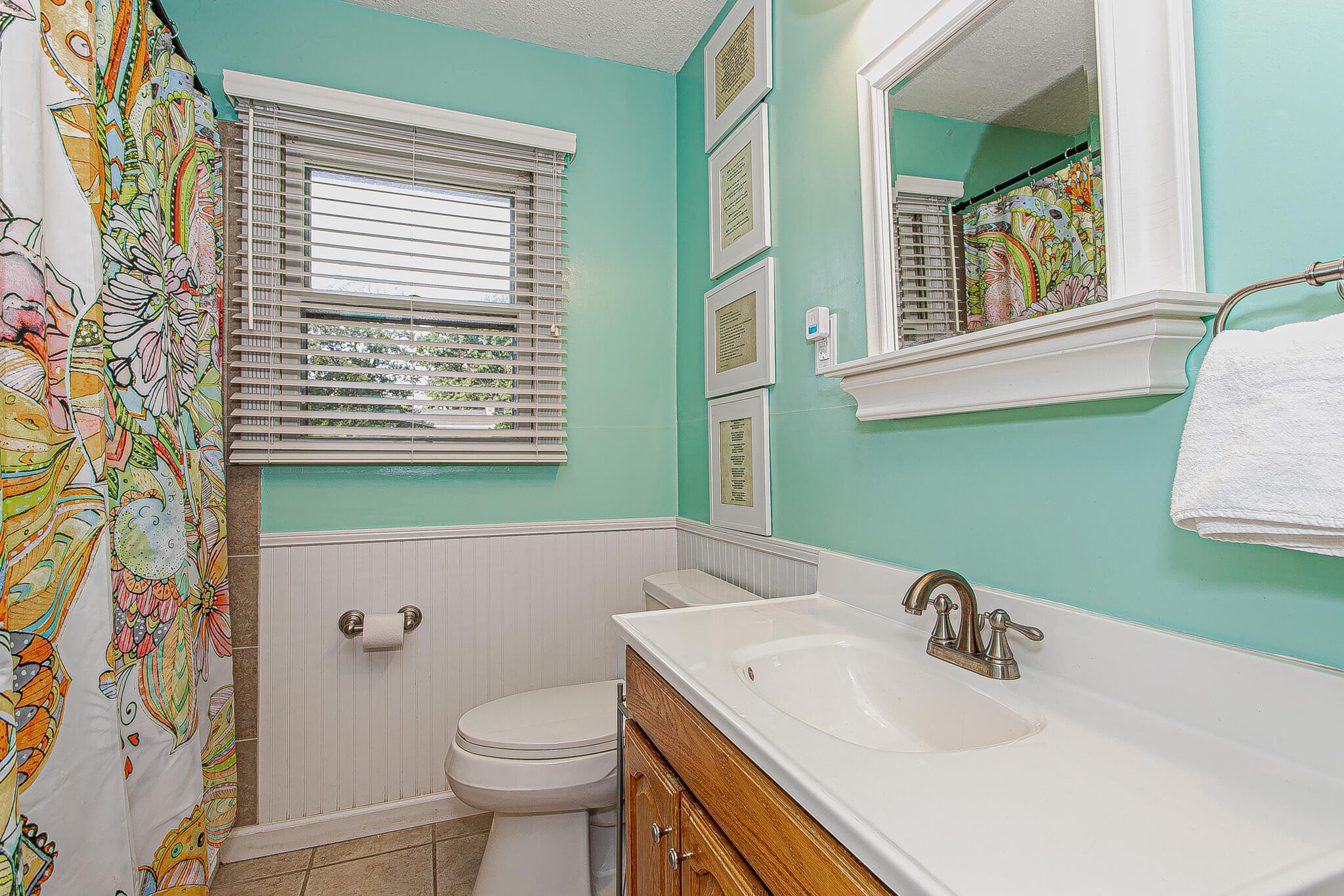 4409 Deerfield Road Knoxville, TN 37921 - Photo 29 of 40 a bathroom with a sink a toilet and a mirror