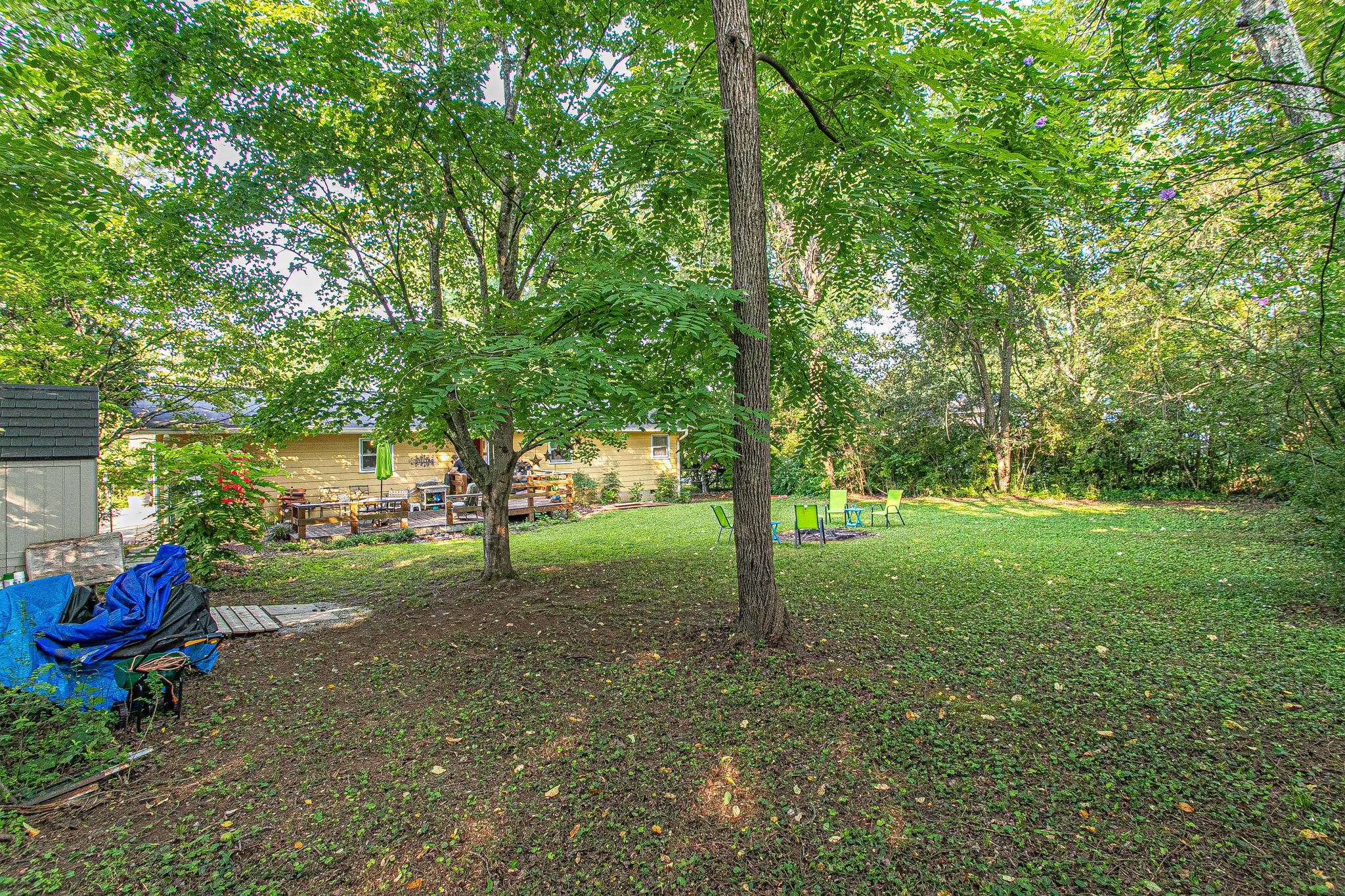 4409 Deerfield Road Knoxville, TN 37921 - Photo 38 of 40 a view of a tree in the middle of a forest
