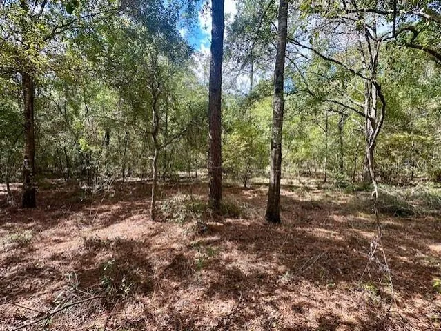 a view of outdoor space with trees