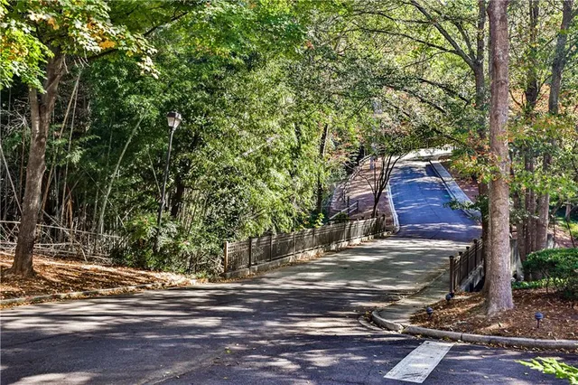 a view of a yard with plants and trees