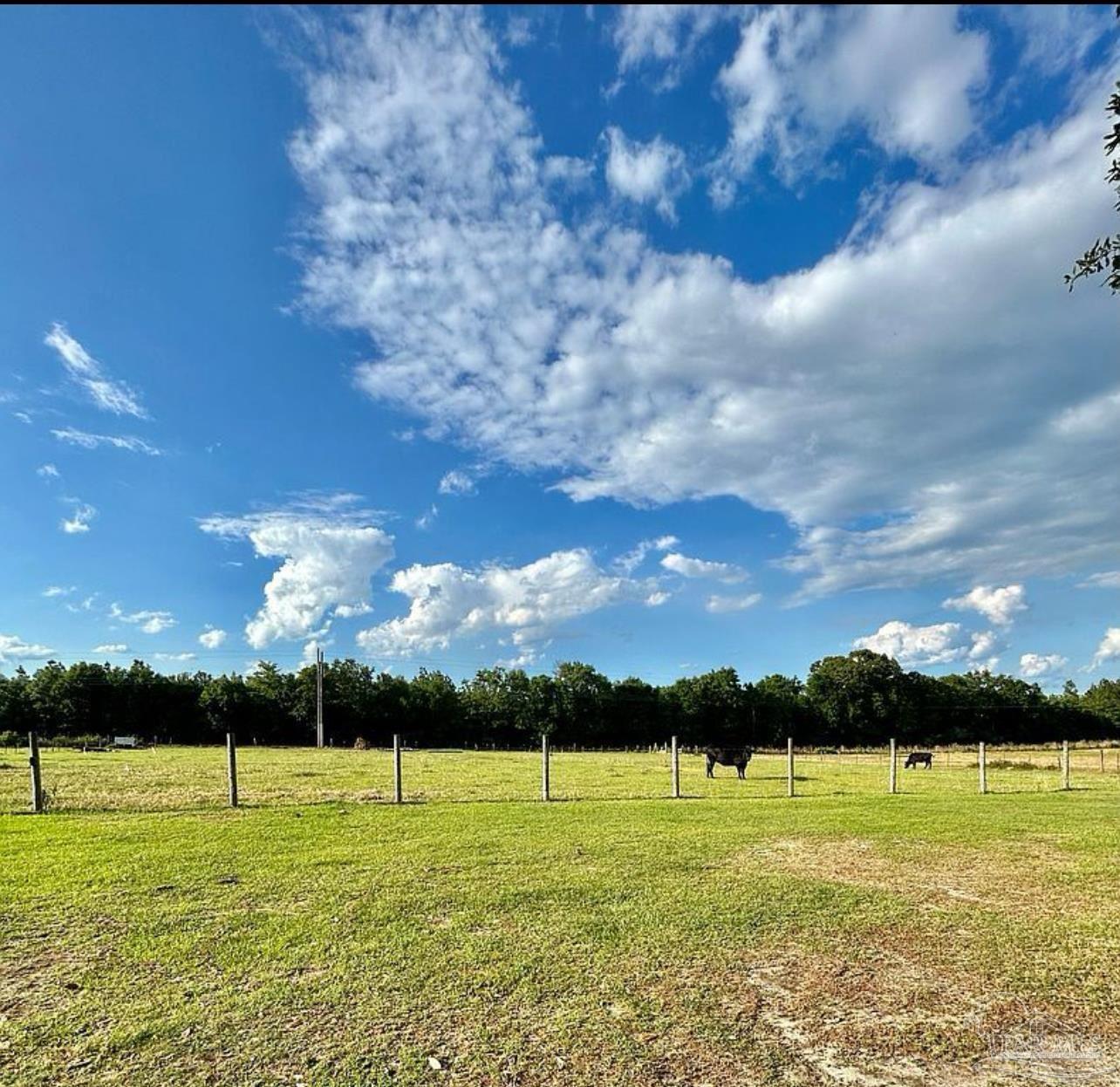 6000 Hosea Gillman Road Milton, FL 32570 - Photo 15 of 18 Gallery Image 15
