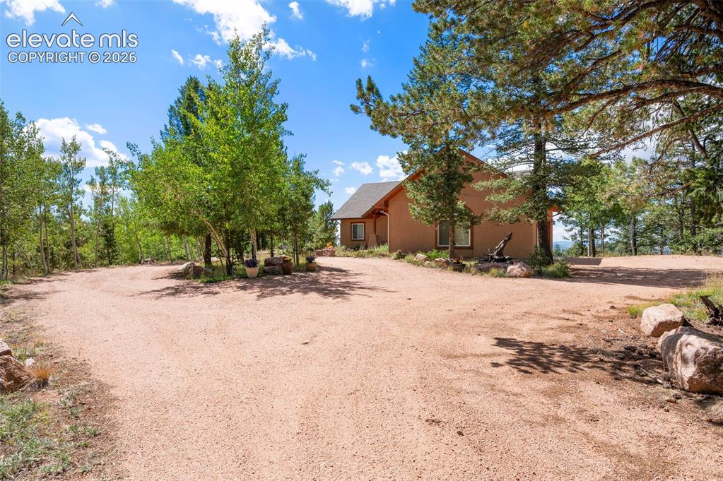 131 Paradiso Road Divide, CO 80814 - Photo 8 of 50 a view of road and with trees
