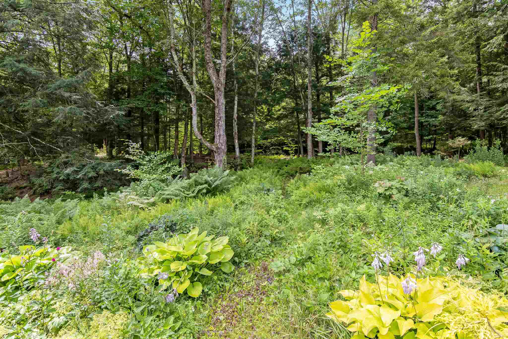 351 Riverview Road Jeffersonville, VT 05464 - Photo 5 of 21 Gallery Image 5
