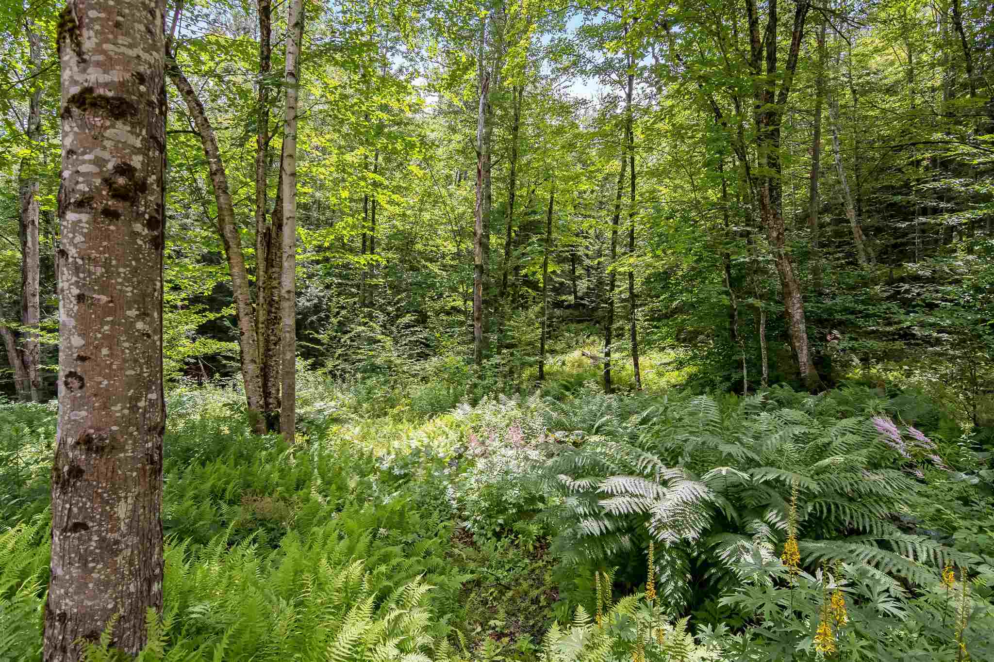 351 Riverview Road Jeffersonville, VT 05464 - Photo 10 of 21 Gallery Image 10