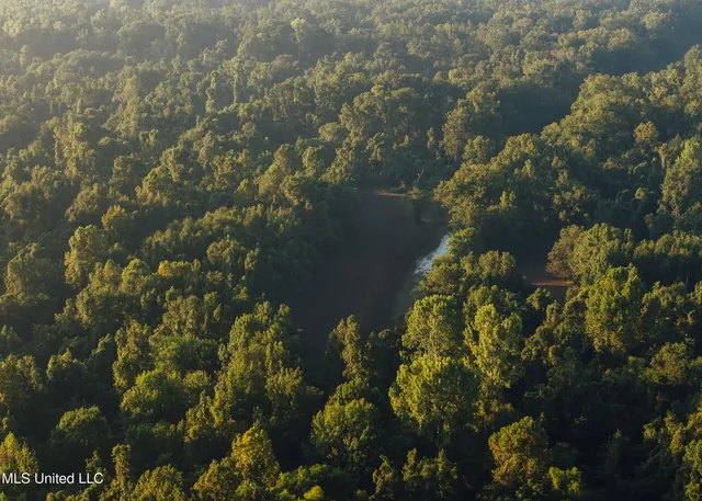 $4,995,000 | Old River Road, Vicksburg, MS 39183