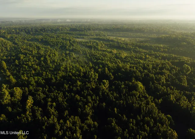 $4,995,000 | Old River Road, Vicksburg, MS 39183