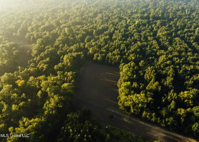 $4,995,000 | Old River Road, Vicksburg, MS 39183