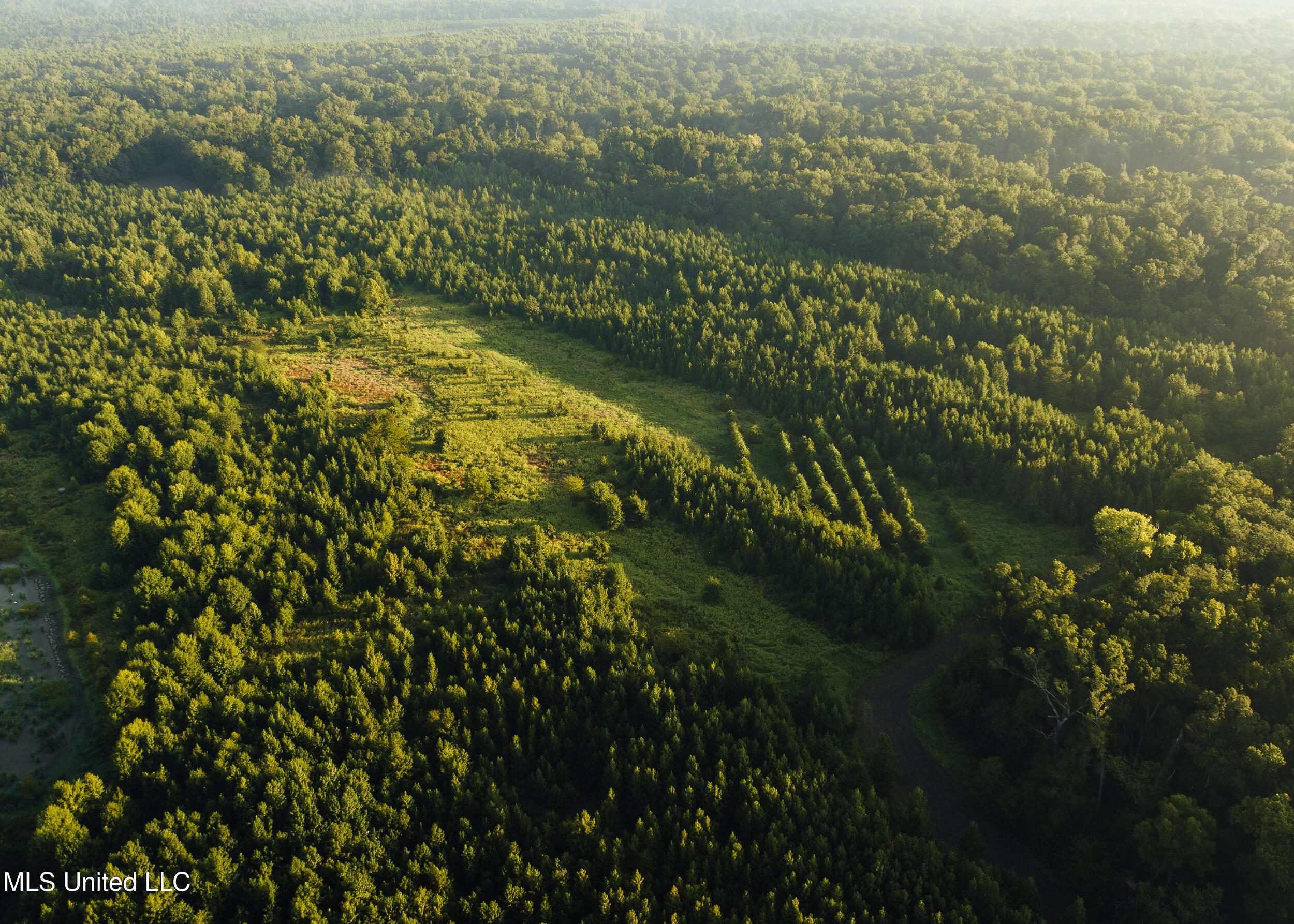 Old River Road Vicksburg, MS 39183 - Photo 17 of 93 Kings Point Pics-16