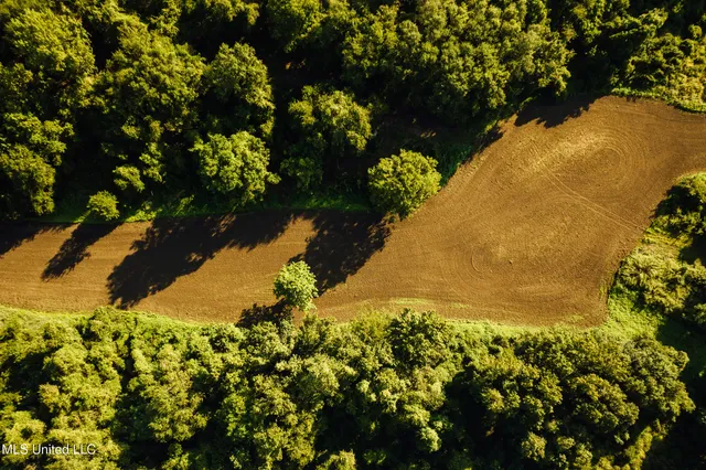 $4,995,000 | Old River Road, Vicksburg, MS 39183