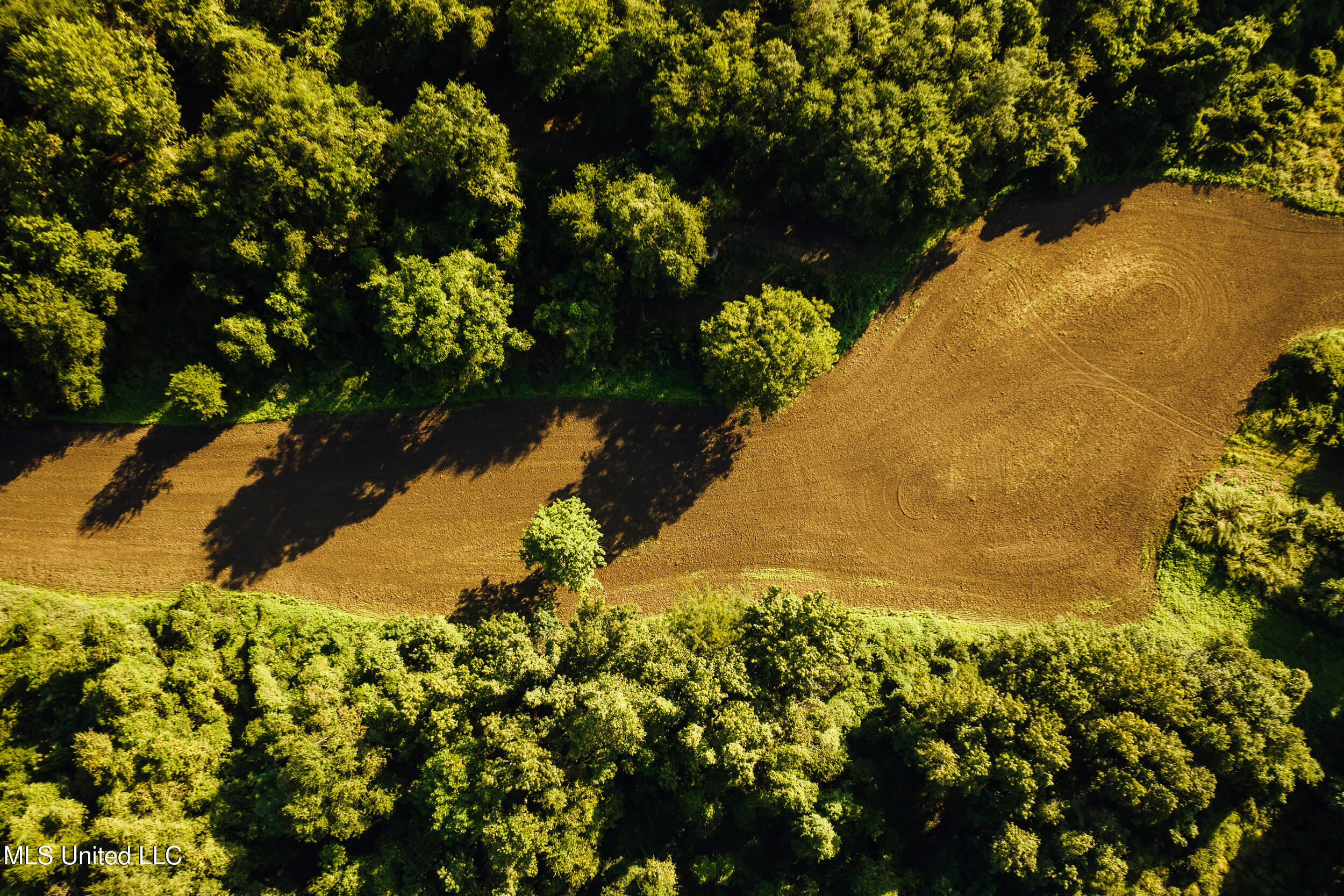 Old River Road Vicksburg, MS 39183 - Photo 19 of 93 Kings Point Pics-18
