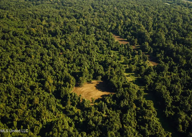 $4,995,000 | Old River Road, Vicksburg, MS 39183