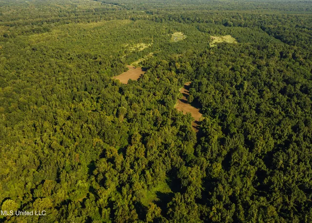 $4,995,000 | Old River Road, Vicksburg, MS 39183