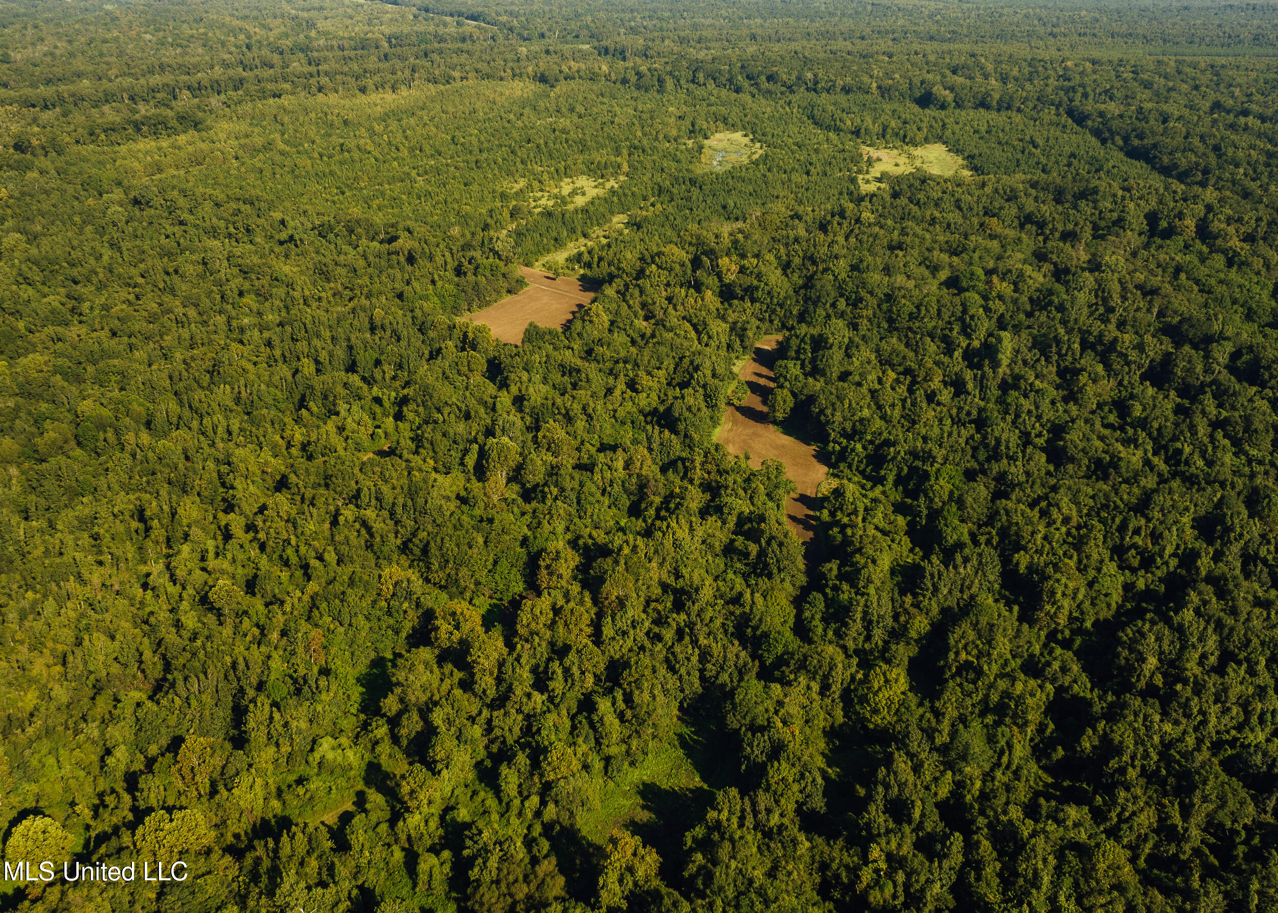 Old River Road Vicksburg, MS 39183 - Photo 23 of 93 Kings Point Pics-22