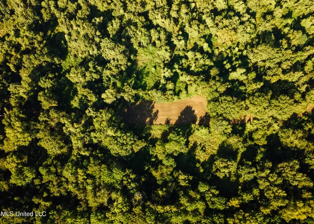 $4,995,000 | Old River Road, Vicksburg, MS 39183