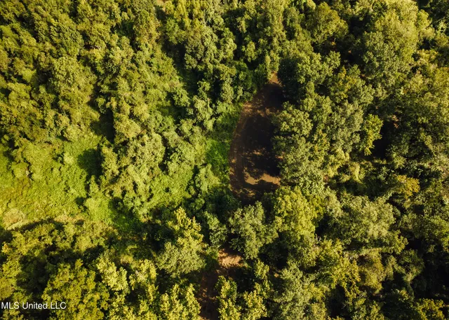 $4,995,000 | Old River Road, Vicksburg, MS 39183