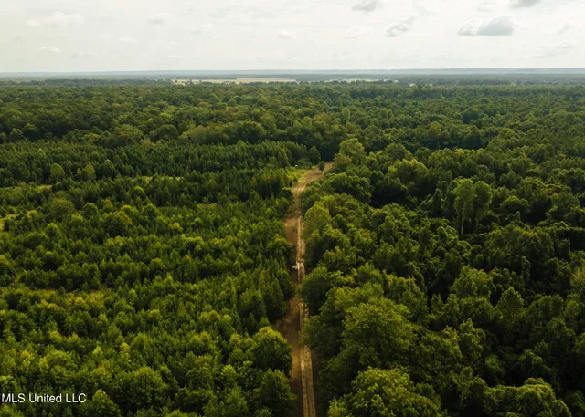 $4,995,000 | Old River Road, Vicksburg, MS 39183