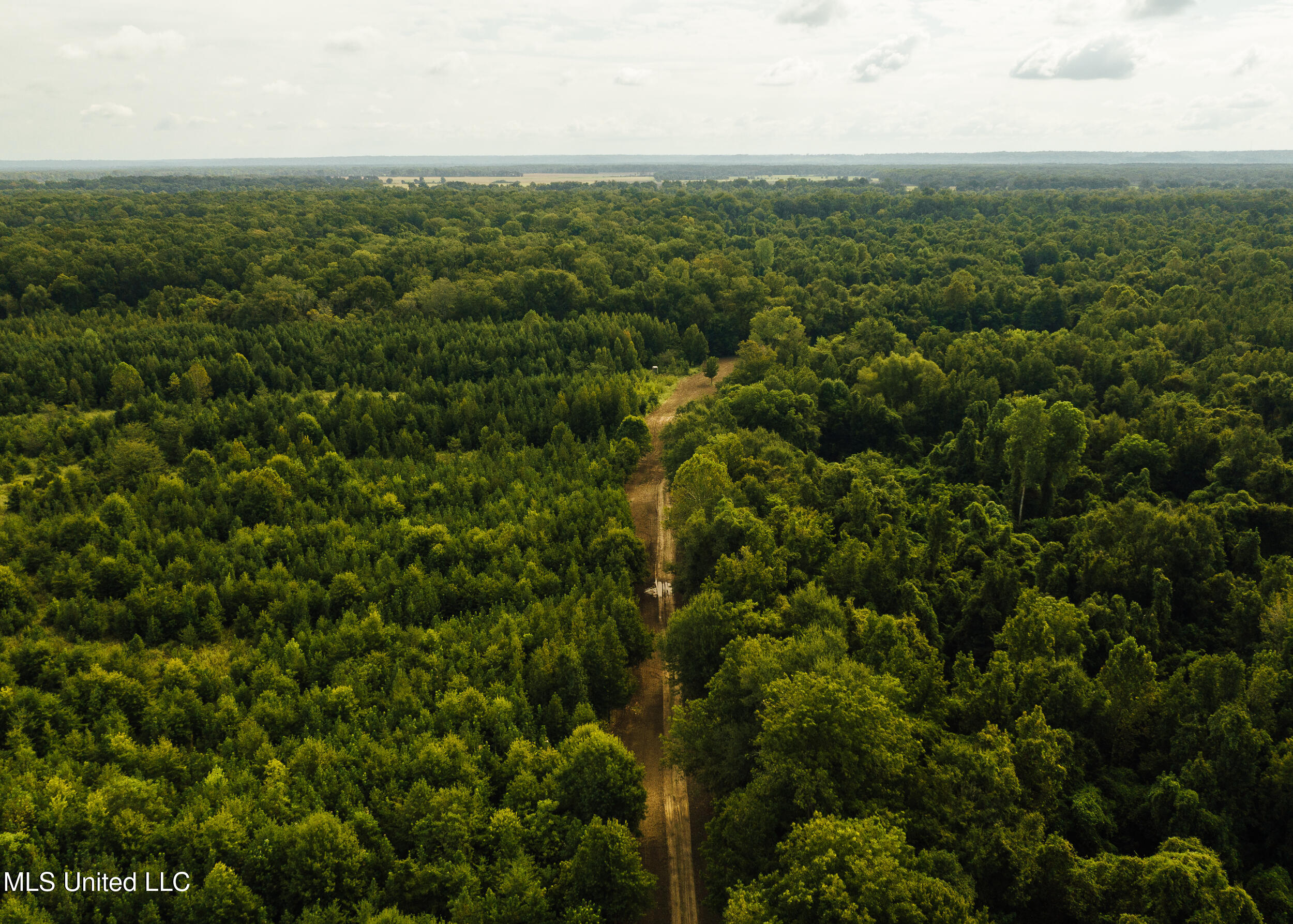 Old River Road Vicksburg, MS 39183 - Photo 33 of 93 Kings Point Pics-32