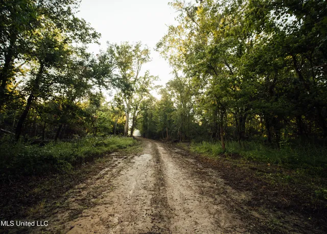 $4,995,000 | Old River Road, Vicksburg, MS 39183