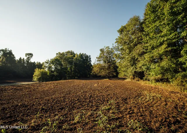 $4,995,000 | Old River Road, Vicksburg, MS 39183