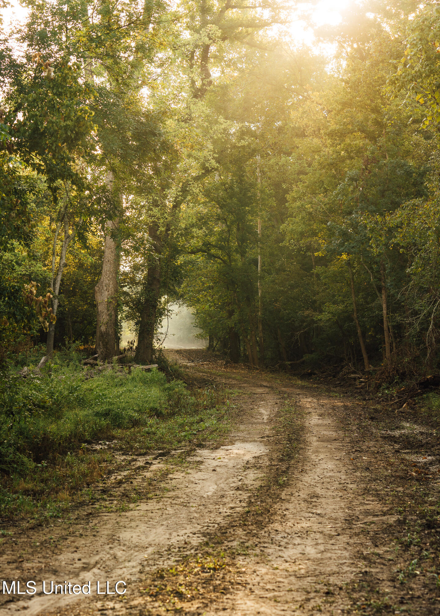 Old River Road Vicksburg, MS 39183 - Photo 41 of 93 Kings Point Pics-41