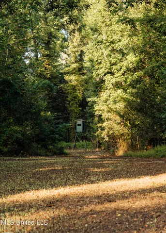 $4,995,000 | Old River Road, Vicksburg, MS 39183