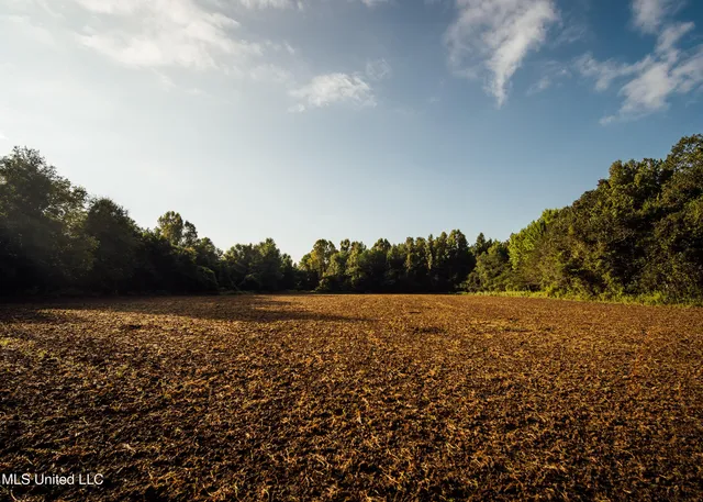 $4,995,000 | Old River Road, Vicksburg, MS 39183