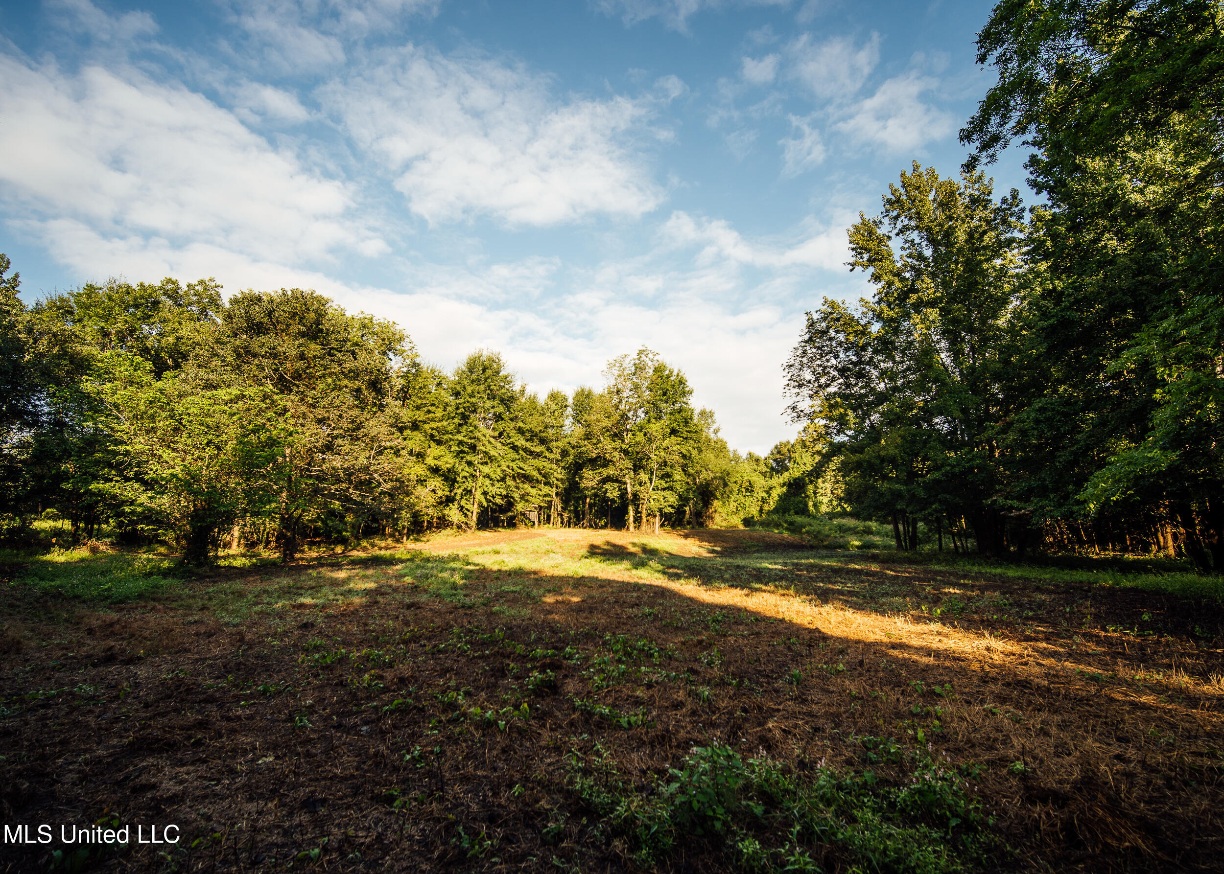 Old River Road Vicksburg, MS 39183 - Photo 46 of 93 Kings Point Pics-46