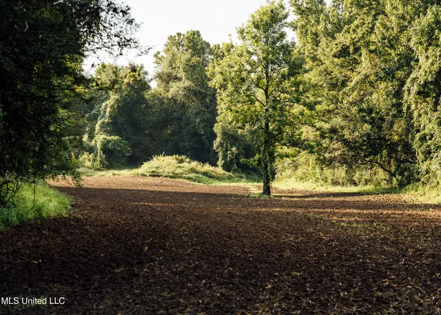 $4,995,000 | Old River Road, Vicksburg, MS 39183