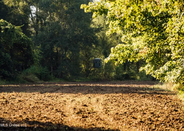 $4,995,000 | Old River Road, Vicksburg, MS 39183