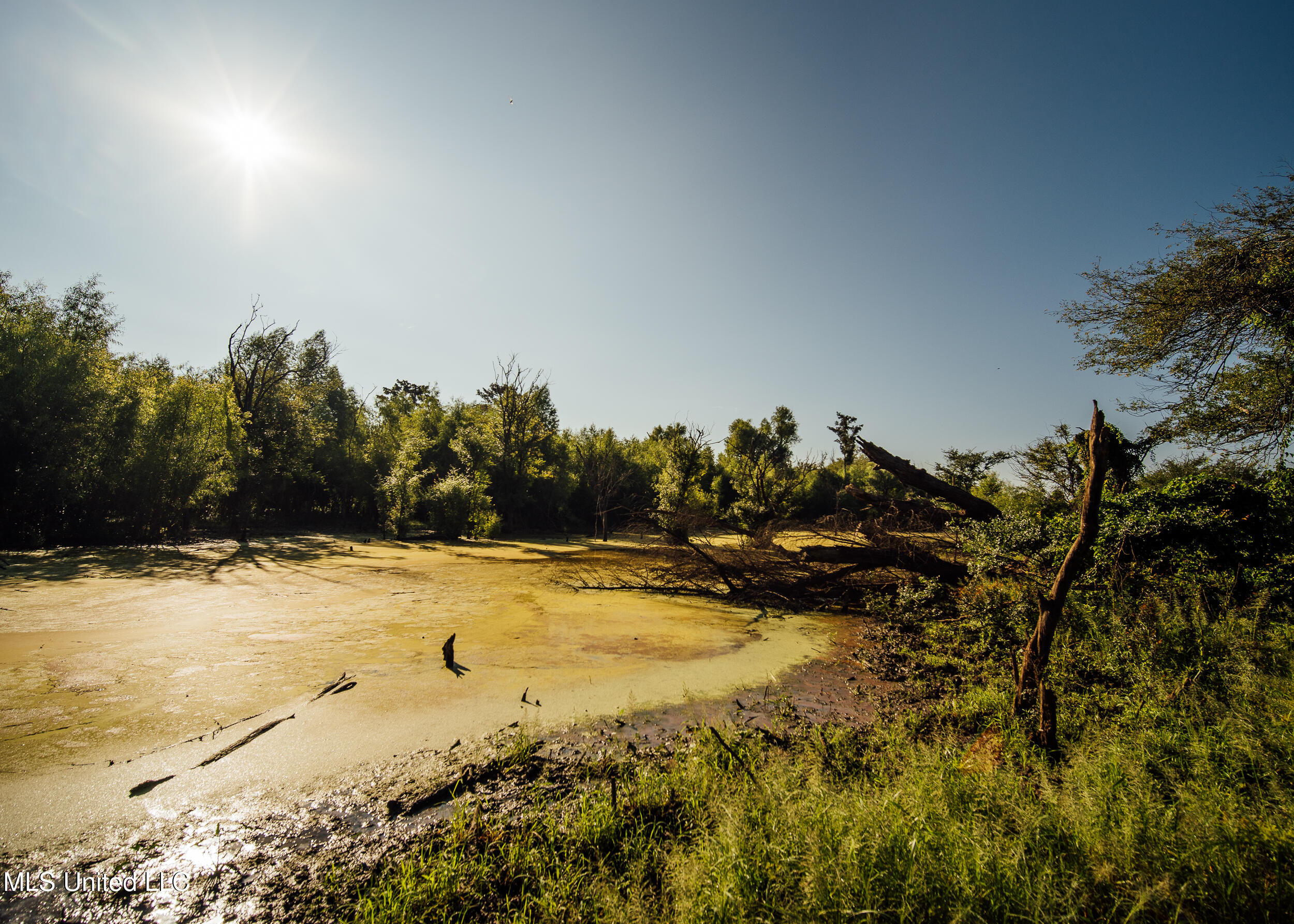 Old River Road Vicksburg, MS 39183 - Photo 54 of 93 Kings Point Pics-54