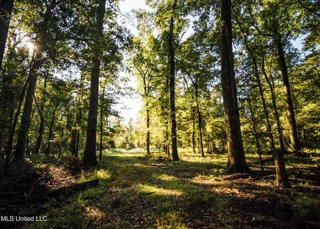 $4,995,000 | Old River Road, Vicksburg, MS 39183