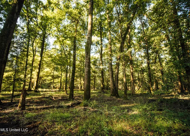 $4,995,000 | Old River Road, Vicksburg, MS 39183