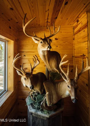 $4,995,000 | Old River Road, Vicksburg, MS 39183