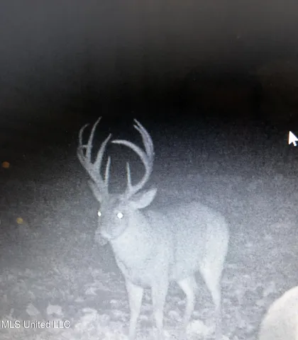 $4,995,000 | Old River Road, Vicksburg, MS 39183