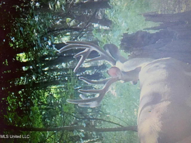 $4,995,000 | Old River Road, Vicksburg, MS 39183