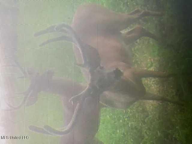 $4,995,000 | Old River Road, Vicksburg, MS 39183