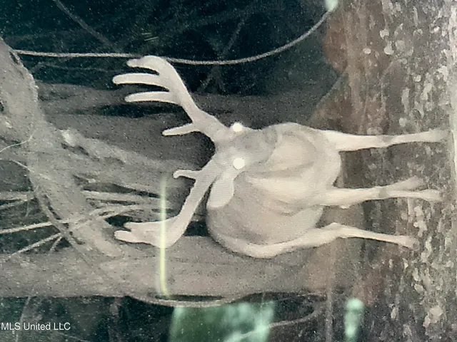 $4,995,000 | Old River Road, Vicksburg, MS 39183