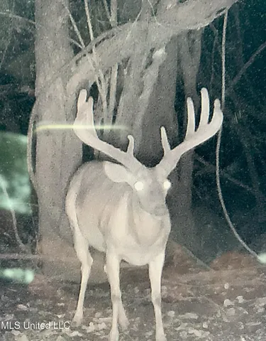 $4,995,000 | Old River Road, Vicksburg, MS 39183