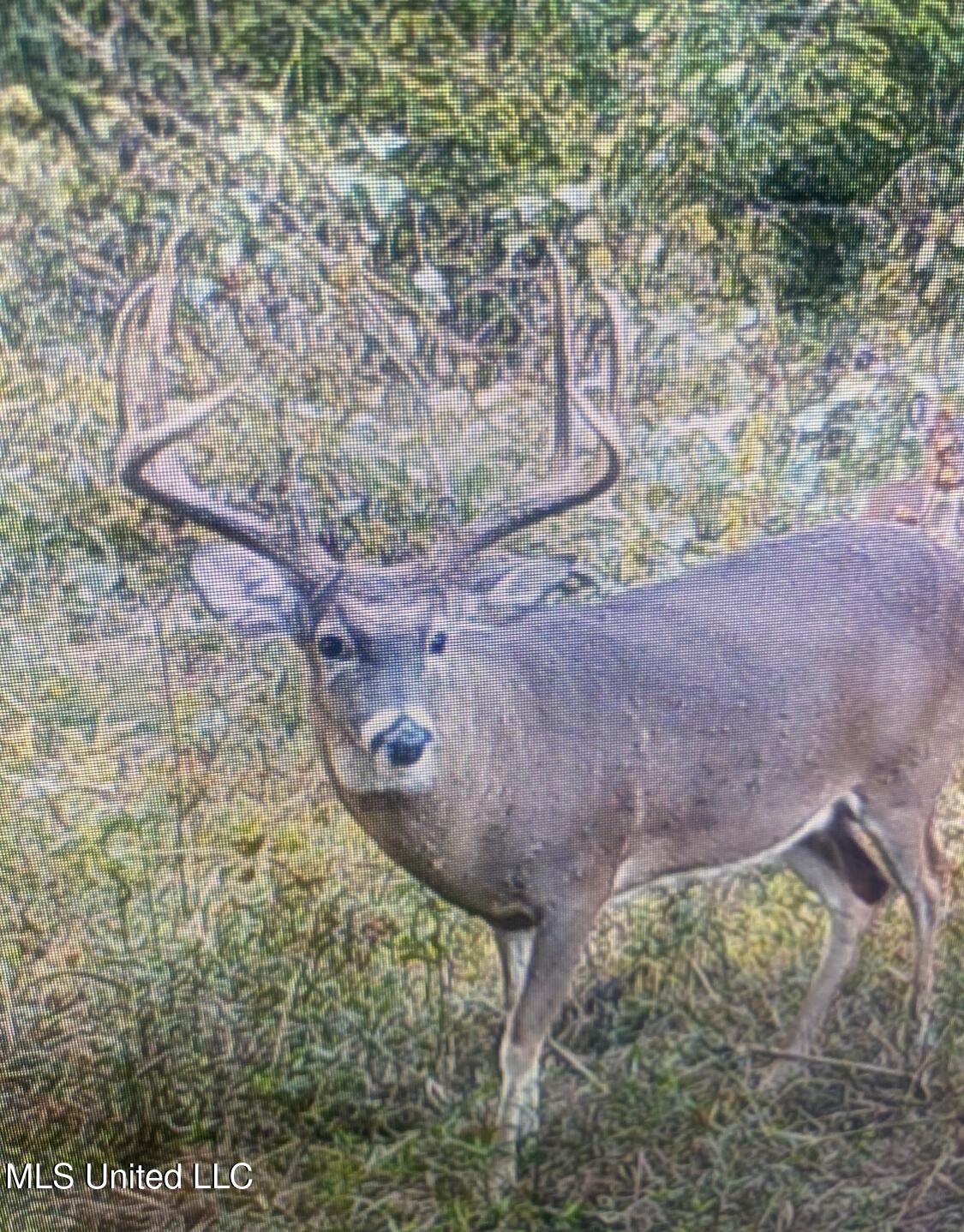 Old River Road Vicksburg, MS 39183 - Photo 80 of 93 IMG_1783