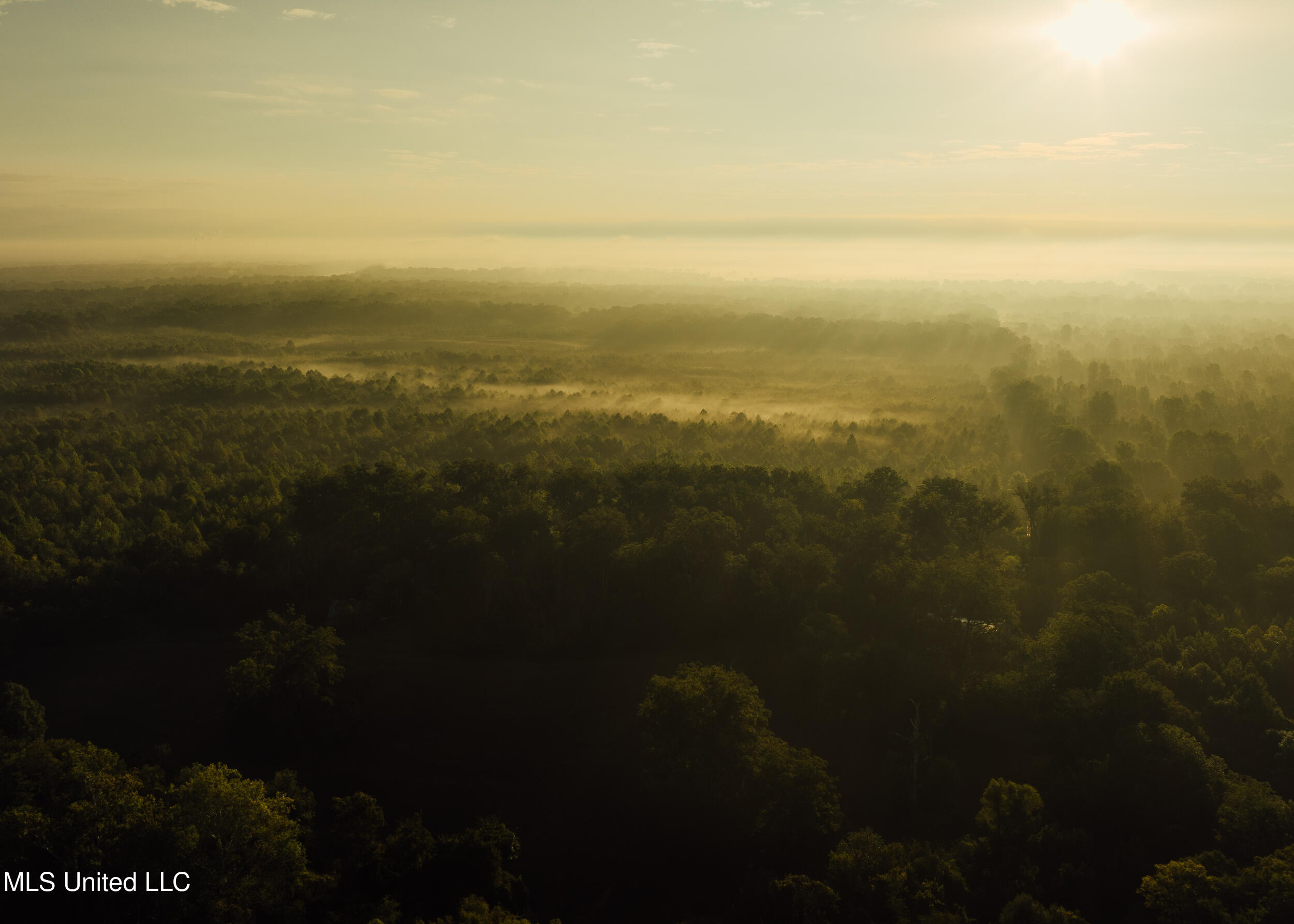 Old River Road Vicksburg, MS 39183 - Photo 8 of 93 Kings Point Pics-6