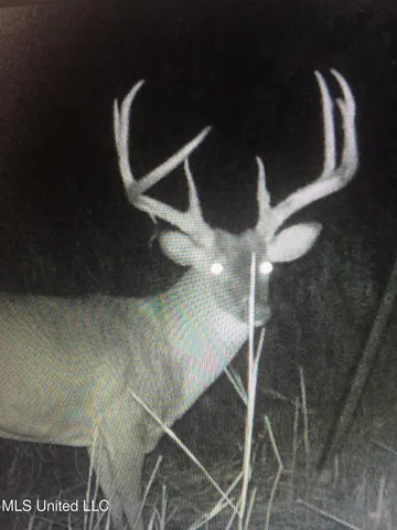 $4,995,000 | Old River Road, Vicksburg, MS 39183